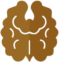 Walnut_Amber Walnut_Amber